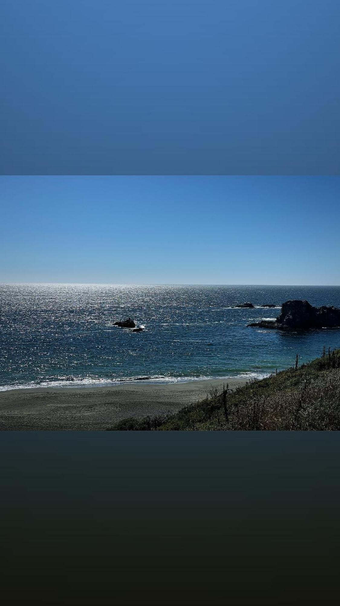 Ocean And Sunset Views - Cliff Side Cottage Bodega Bay Eksteriør billede